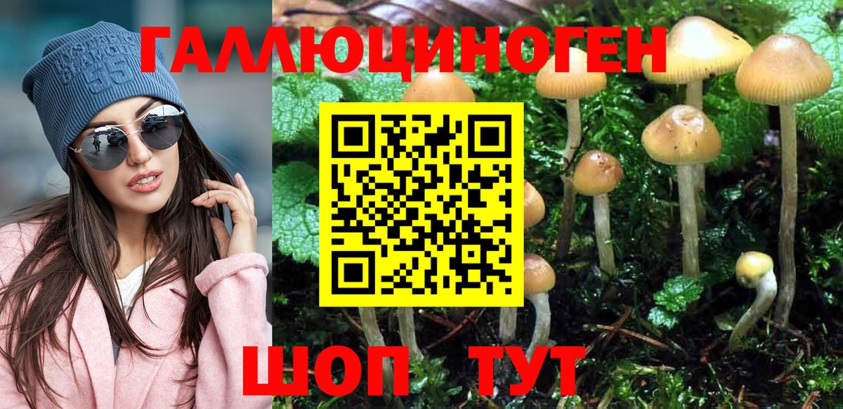 Галлюциногенные грибы Psilocybe  Вход с VPN  Похвистнево 